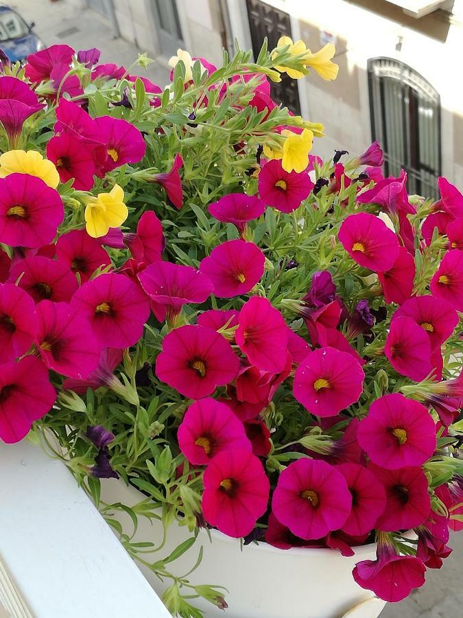 B&B Fabricanovantacinque Trani Dış mekan fotoğraf